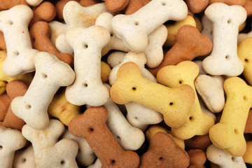 Heap of dried dog food biscuits