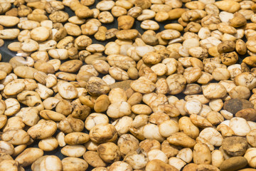 clarity shallow basin