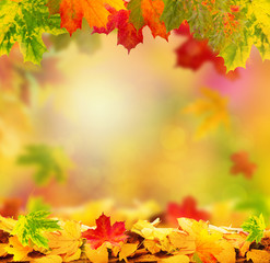 Naklejka na ściany i meble schöner Herbsthintergrund