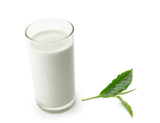 Obraz na płótnie Canvas glass of milk and green tea leaf isolated on white background