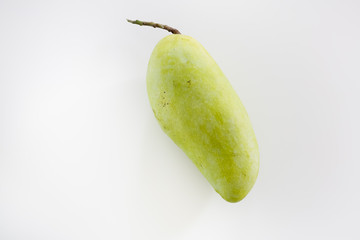 Mango fruit isolated