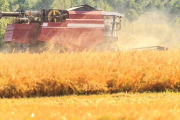 Combine harvester in field during harvesting