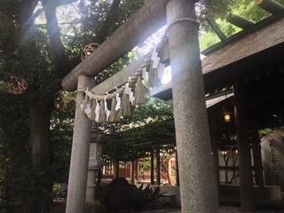 鳥居と日射し
