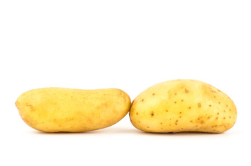 Potato