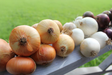 Red, white and yellow onions