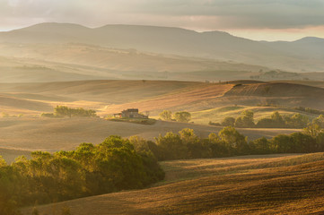 Fototapeta na wymiar Beautiful light of the morning sun in the Tuscan landscape