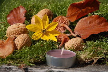 Herbstdekoration mit Kerze