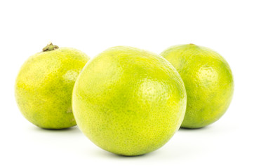 Lime