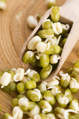 Sprouted mung beans