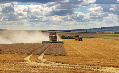 Fototapeta premium Hay Baling