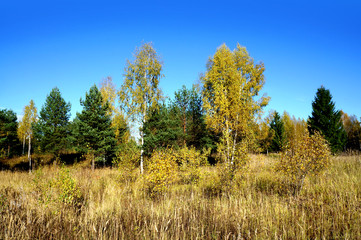 Autumnal nature, scenery