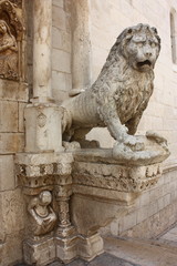 Leone stiloforo Cattedrale di Altamura