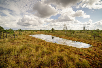 swamp view with lakes and footpath