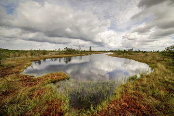 swamp view with lakes and footpath