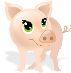 Obraz na płótnie Canvas Small pig