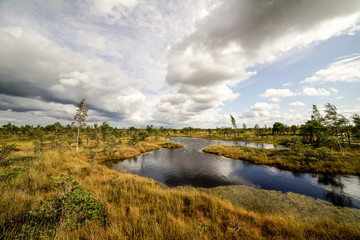 swamp view with lakes and footpath