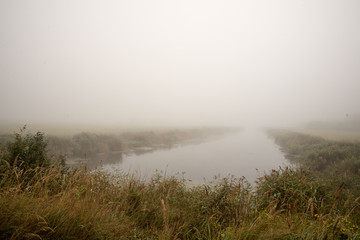 Obraz na płótnie Canvas swamp view with lakes and footpath