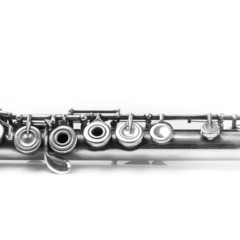 Fototapeta premium Flet na białym tle