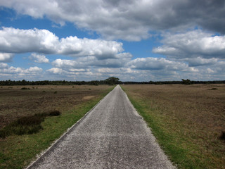 Road to nowhere in Hoge Veluwe