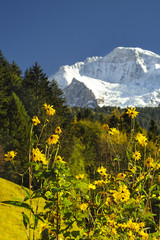 krajobraz górski, Szwajcaria, alpy - obrazy, fototapety, plakaty