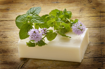 Mentha Mynte Menta Menthe Mint Minzen Mięta Мята נענע © Comugnero Silvana