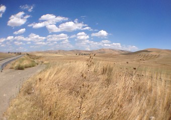 Fototapeta premium orizzonti