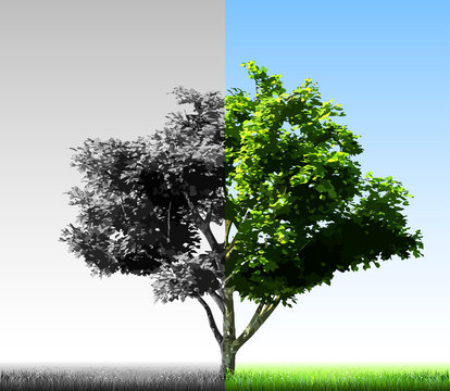 Two colorful halves of the tree. Vector