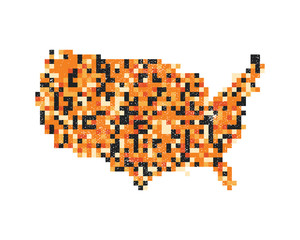 A vector of the United States of America in a pixel art style