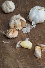 Garlic