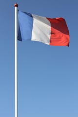 Naklejka na ściany i meble französische Flagge im Wind