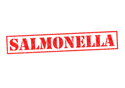 SALMONELLA