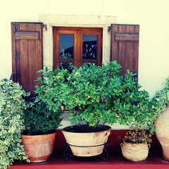 Window and flower pots (Crete, Greece)
