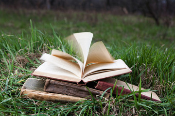 Open book on grass