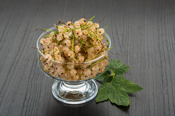 White currant