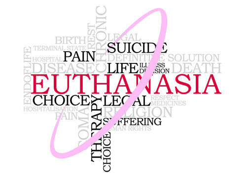 Euthanasia