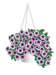 Petunia flowers in pots hanging on a chain.