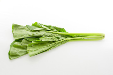 Chinese Cabbage isolated on white background