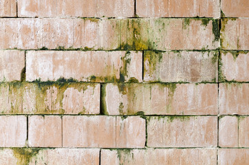Orange brick wall with moss