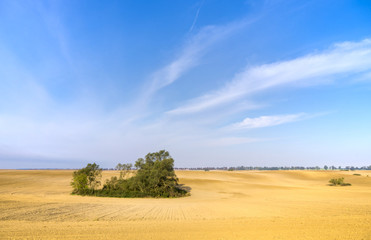 Zaorane pole po żniwach © Mike Mareen