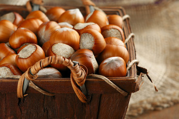 Hazelnuts in basket