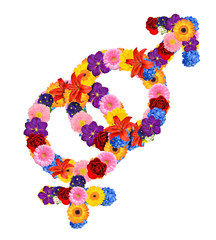 Male and female sex symbol from flowers