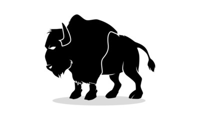 Bison