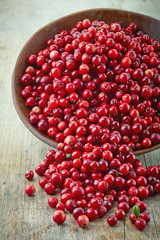 bowl of cowberries