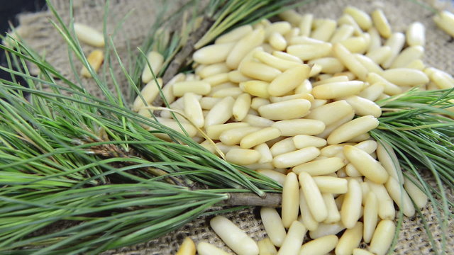 Fresh Pine Nuts (not loopable)