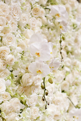 Obraz na płótnie Canvas white flowers background.