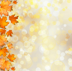 Orange autumnal branch of  tree on abstract background with boke