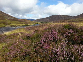 Fototapeta na wymiar Sunny Day in the Scottish Highlands