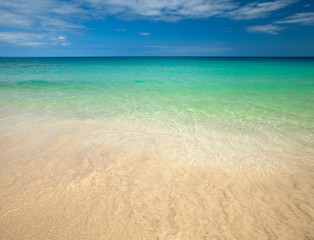 Fototapeta na wymiar Fuerteventura, clean beach of Jandia