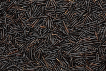 Wild Rice