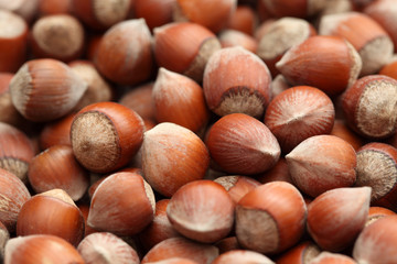 Hazelnuts